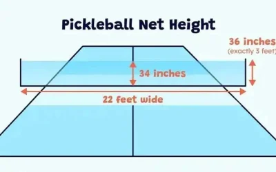 Net Height trong Pickleball - Chiều cao chuẩn của lưới pickleball